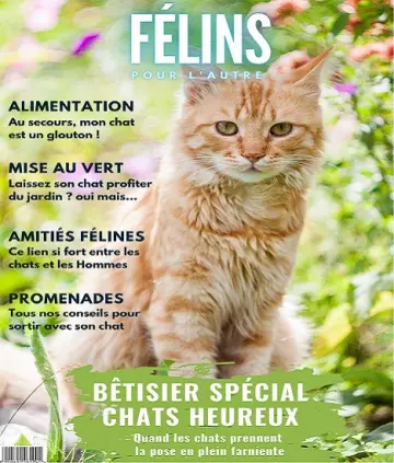 Félins Pour L’autre N°11 – Mai 2022