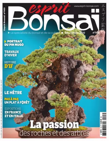 Esprit Bonsai - Décembre 2019 - Janvier 2020