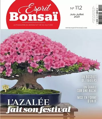 Esprit Bonsaï N°112 – Juin-Juillet 2021