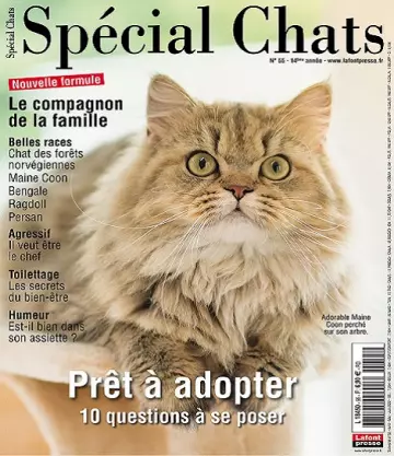 Spécial Chats N°55 – Avril-Juin 2022