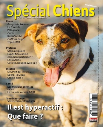 Spécial Chiens N°61 – Juillet-Septembre 2023