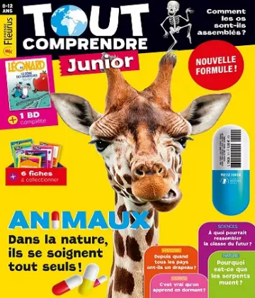 Tout Comprendre Junior N°101 – Septembre 2021