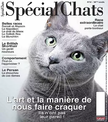 Spécial Chats N°51 – Avril-Juin 2021