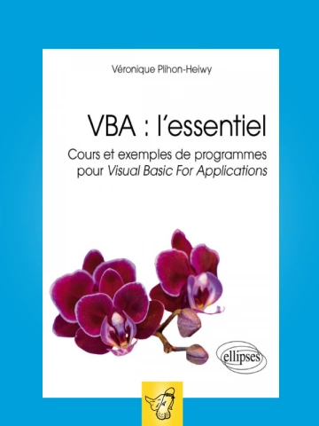 VERONIQUE PLIHON HEIWY - VBA L'ESSENTIEL