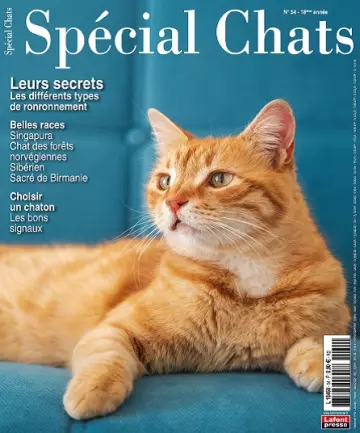 Spécial Chats N°54 – Janvier-Mars 2022