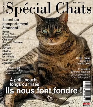 Spécial Chats N°49 – Octobre-Décembre 2020