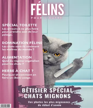 Félins Pour L’autre N°10 – Avril 2022