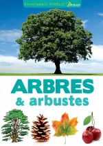 Encyclopédie visuelle des arbres & arbustes