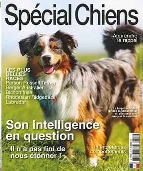 Spécial Chiens N°54 – Octobre-Décembre 2021