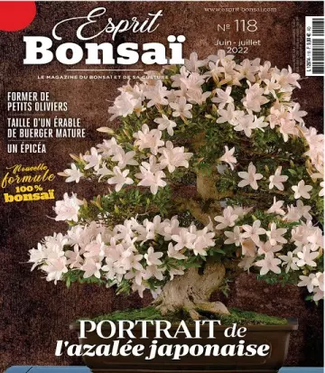 Esprit Bonsaï N°118 – Juin-Juillet 2022