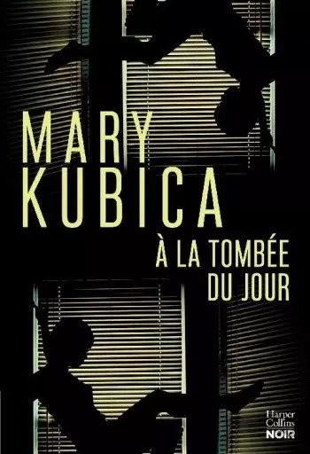 Mary Kubica - A la tombée du jour