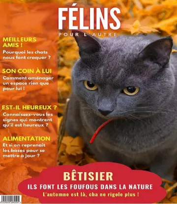 Félins Pour L’autre N°15 – Octobre 2022