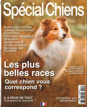 Spécial Chiens N°55 – Janvier-Mars 2022