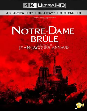 Notre-Dame brûle