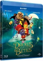 Drôles de petites bêtes