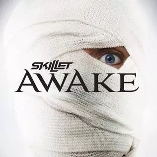 Skillet - Awake